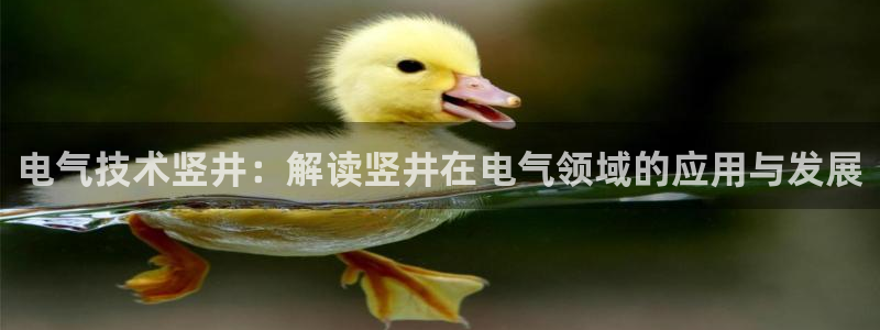 凯发旗舰厅官网