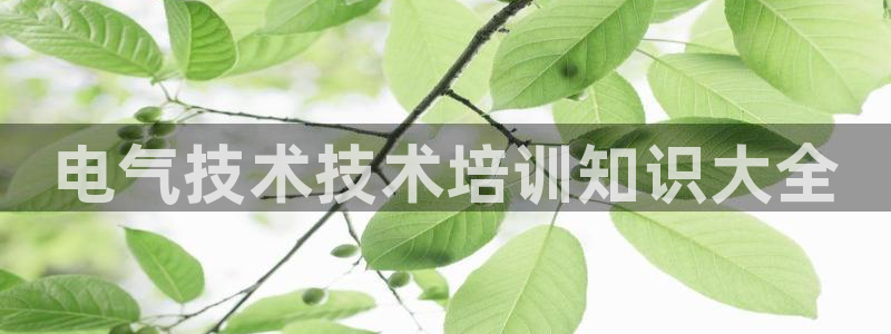 凯发官网登录手机版