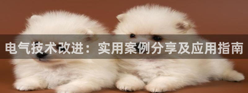 凯发k8网站是多少