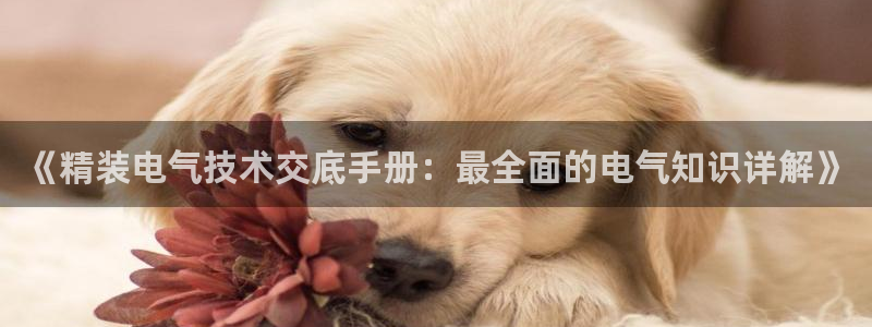 凯发k8娱乐官方下载