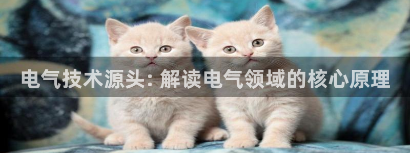 凯发k8官方