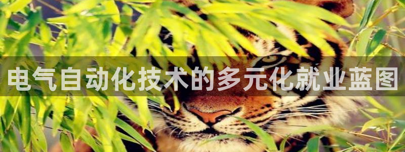 凯发k8国际首页登录