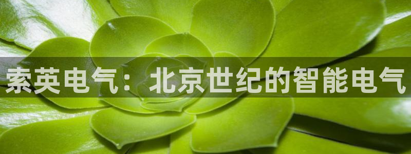 凯发平台敌7O777