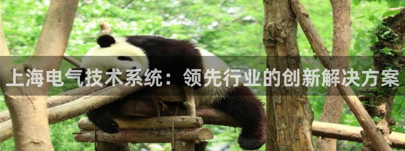 凯发k8娱乐平台