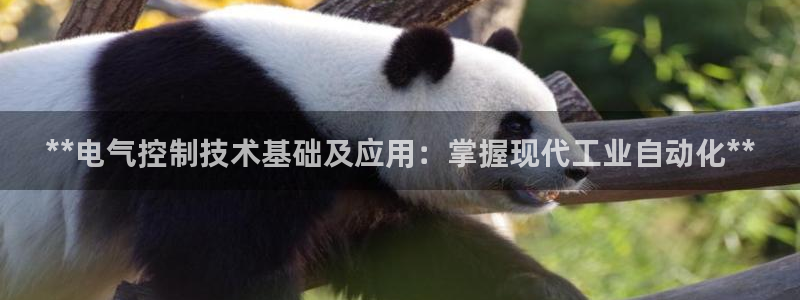 凯发旗舰厅官网