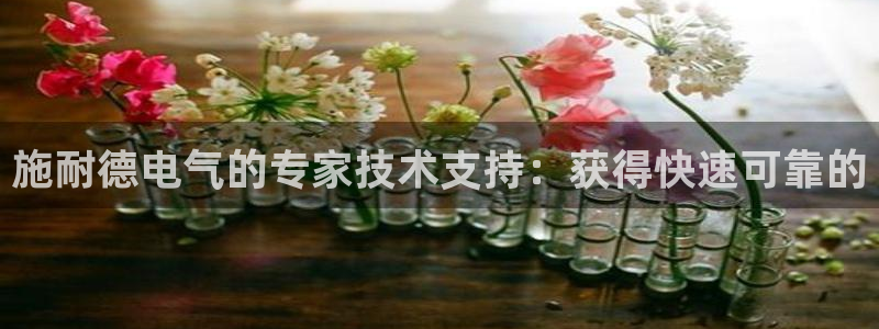 凯发k8官方网娱乐官方真