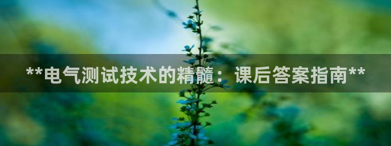 凯发旗舰厅官网