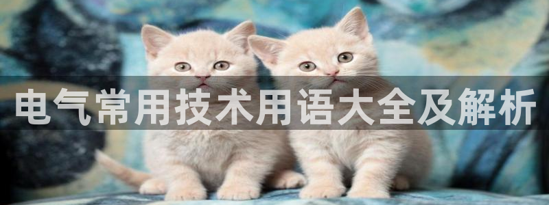 凯发k8国际首页登录：电气常用技术用语大全及解析