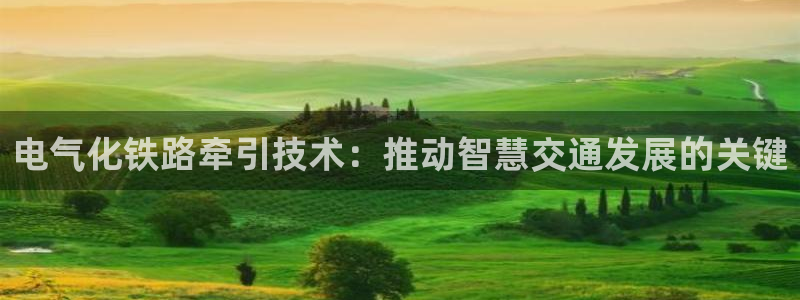 凯发k8国际真人娱乐旗舰厅：电气化铁路牵引技术：推