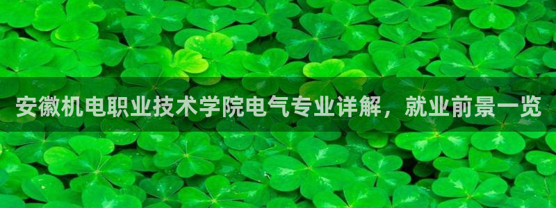凯发娱乐官方网：安徽机电职业技术学院电气专业详解，